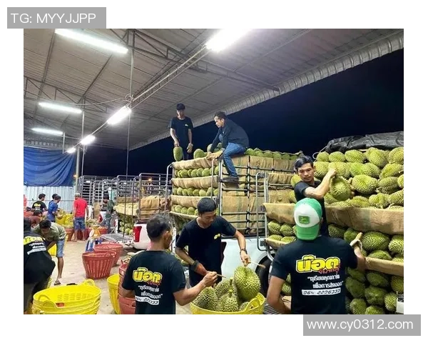 越南与泰国比赛直播观看渠道及相关信息汇总